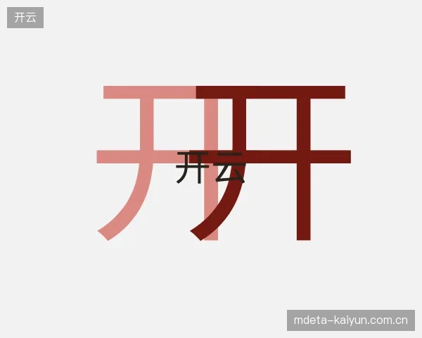 认识开云团队